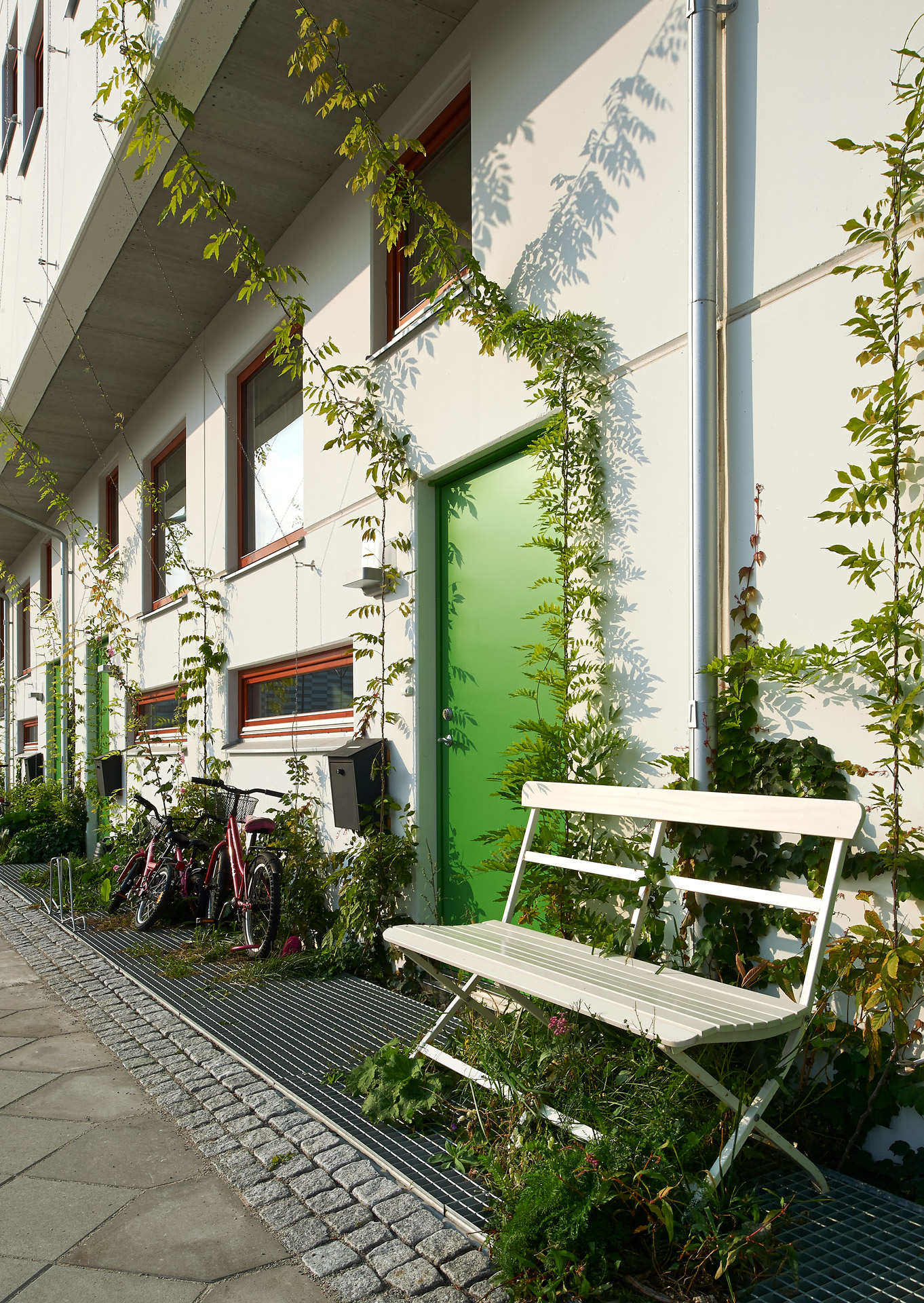 Entréer mot gatan med klätterväxter och cykelplatser